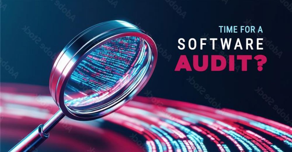 time for a software audit
