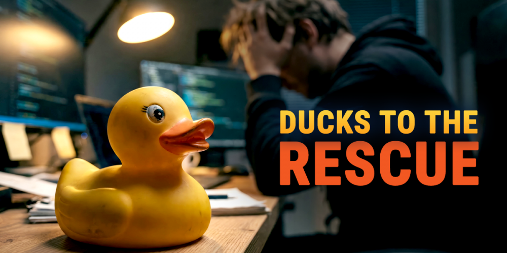 Ducks to the Rescue